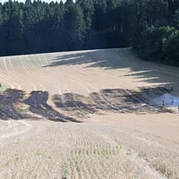 fib_Stoppelfeld_Moeslreit_0265.jpg